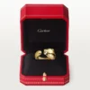 Pierścionek Panthere De Cartier – żółte złoto, onyks, granat tsaworytowy – Cartier