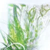 Wkład perfum Geranium – Rivieres De Cartier | Cartier