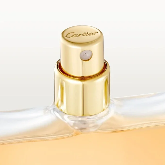 Wypełnienie do perfum o nutach drzewnych – Declaration | Cartier